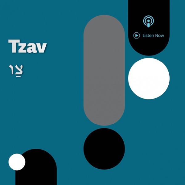 Tzav